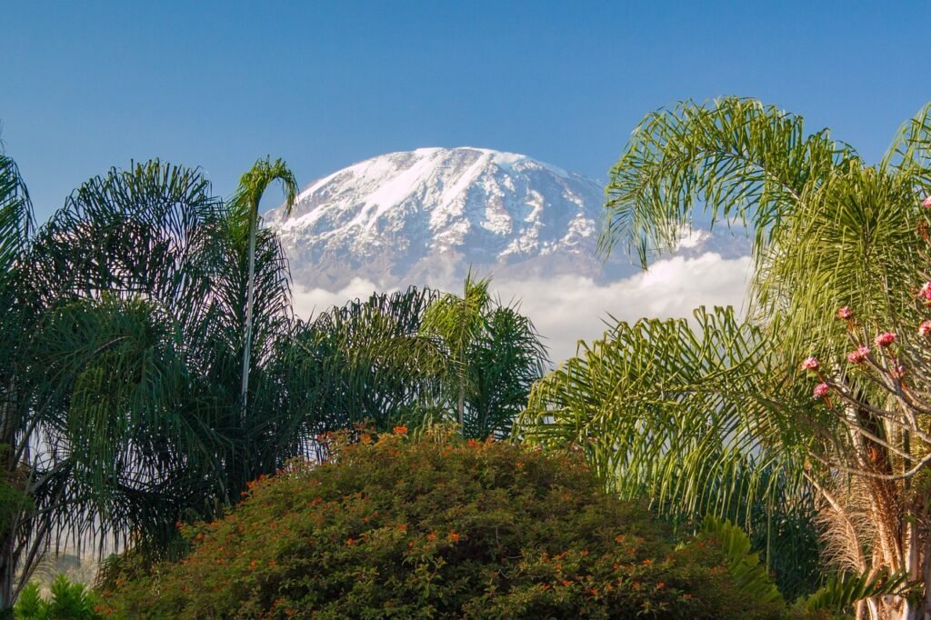 kilimanjaro-4436821_1280